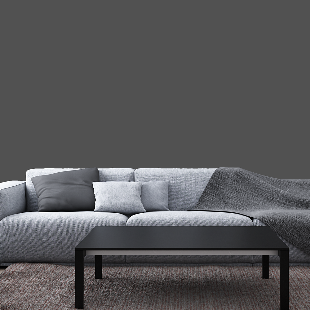 Canapé gris Mur Gris