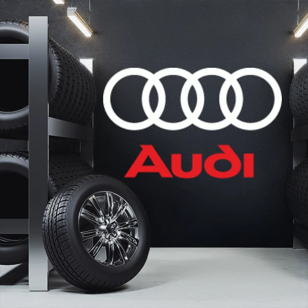 Sticker Audi Bicolor