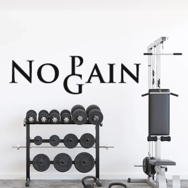 Sticker No Pain No Gain