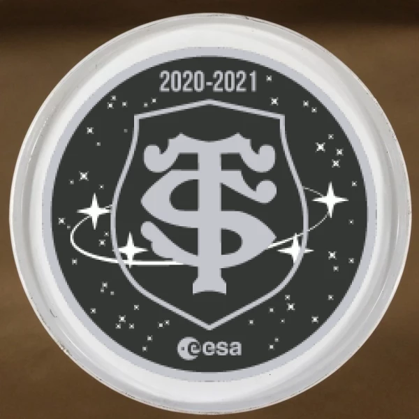 Sticker Stade Toulousain 2020-2021 - Printed